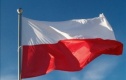 В Польше начнется битва за большие окна