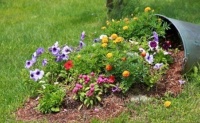 Цветочная клумба-ручеек всегда поможет оживить сад