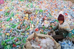 Новая классификация отходов из пластика сможет спасти мир